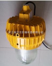 BFC8140-BFC8140 內場防爆燈/ 管線區/中轉站/防爆燈-浙江海洋王防爆電器