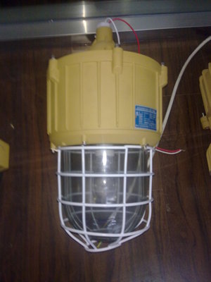 樂(lè)清廠家生產(chǎn)防爆燈BAD82 專(zhuān)業(yè)防爆照明解決方案