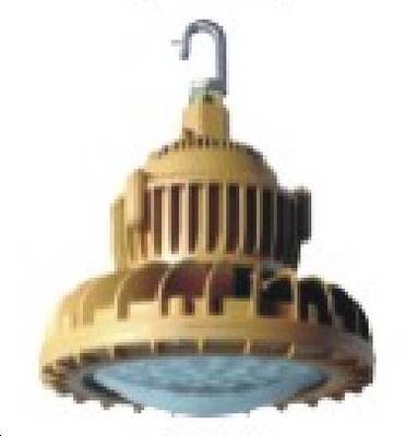 SHD8202-IV防爆高效節(jié)能LED燈 海洋王專業(yè)照明解決方案